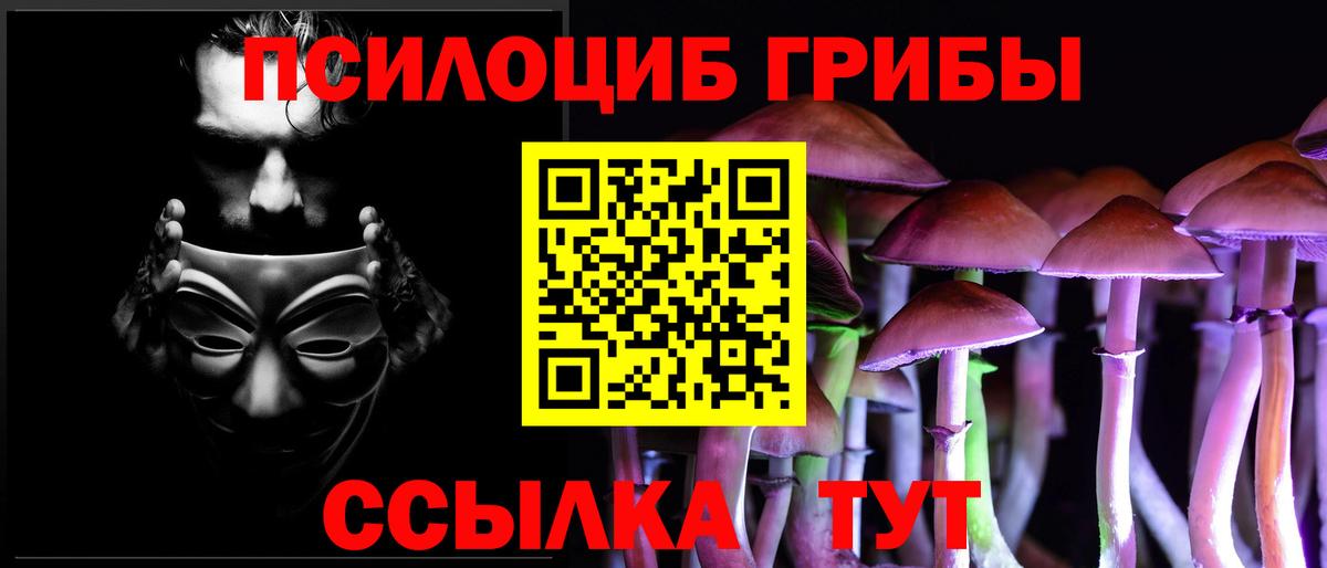 Черняховск  Псилоцибиновые грибы мицелий  Вход с VPN  Псилоцибиновые грибы Psilocybine cubensis 