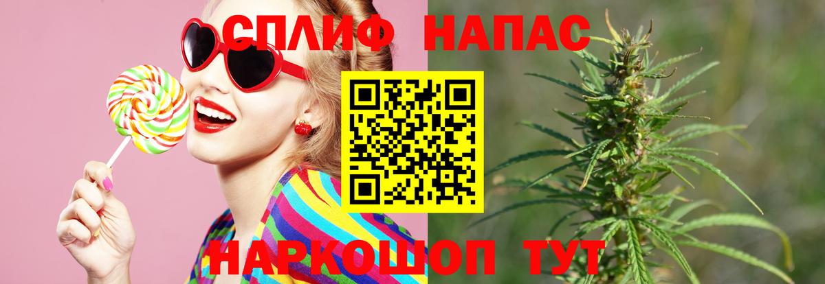 Канабис семена Черняховск